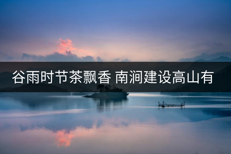 谷雨時節(jié)茶飄香 南澗建設(shè)高山有機(jī)茶葉生產(chǎn)基地