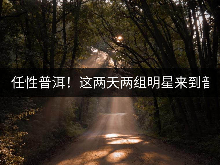 任性普洱！這兩天兩組明星來到普洱！