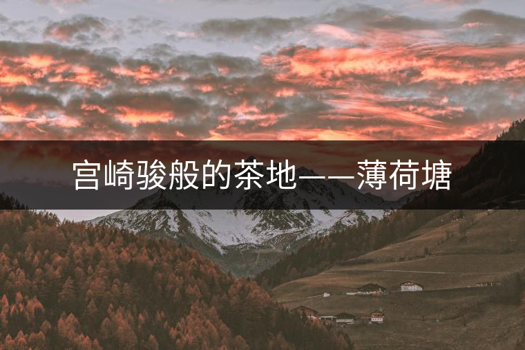 宮崎駿般的茶地——薄荷塘