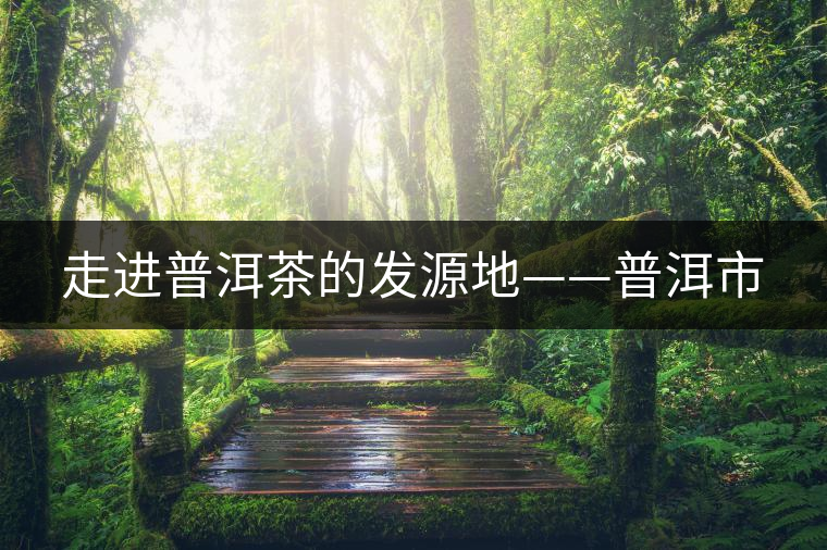 走進普洱茶的發(fā)源地——普洱市 走進普洱茶的發(fā)源地——普洱市