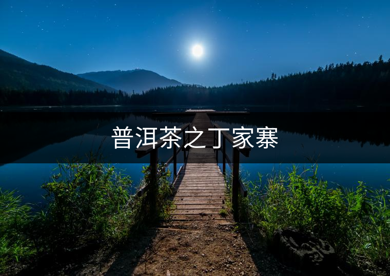 普洱茶之丁家寨 普洱茶之丁家寨