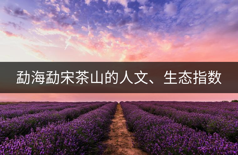 勐海勐宋茶山的人文、生態(tài)指數(shù)