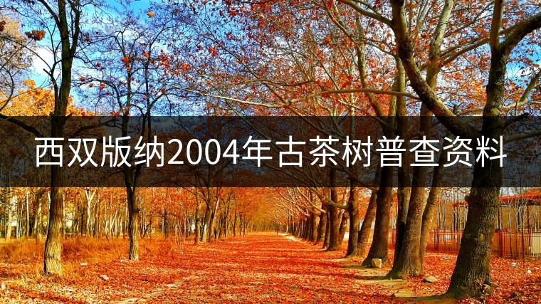 西雙版納2004年古茶樹普查資料