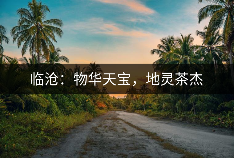 臨滄：物華天寶，地靈茶杰