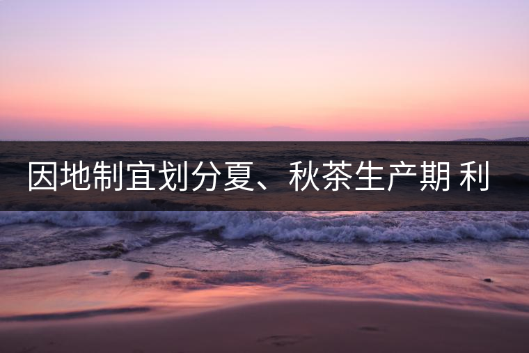 因地制宜劃分夏、秋茶生產(chǎn)期 利于采摘品質(zhì)