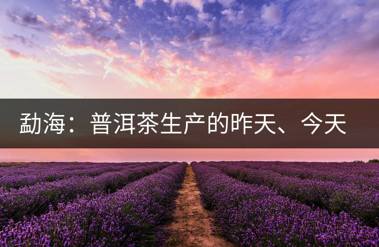 勐海：普洱茶生產(chǎn)的昨天、今天、明天
