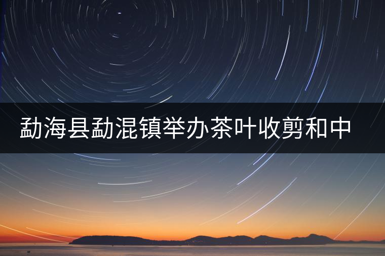 勐?？h勐混鎮(zhèn)舉辦茶葉收剪和中耕培土現(xiàn)場培訓(xùn)會