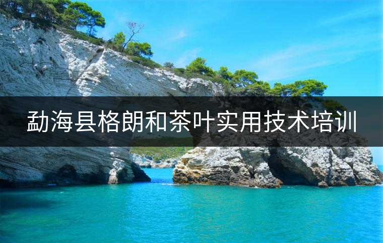 勐?？h格朗和茶葉實(shí)用技術(shù)培訓(xùn)