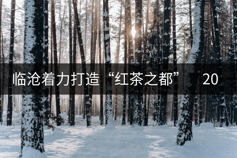 臨滄著力打造“紅茶之都” 2015年茶產(chǎn)業(yè)產(chǎn)值力爭達到50億元 臨滄著力打造“紅茶之都” 2015年茶產(chǎn)業(yè)產(chǎn)值力爭達到50億元