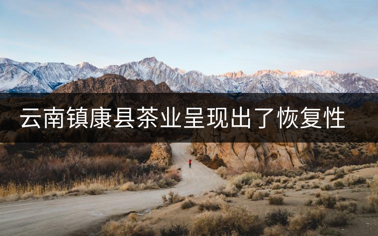 云南鎮(zhèn)康縣茶業(yè)呈現(xiàn)出了恢復(fù)性增長的態(tài)勢