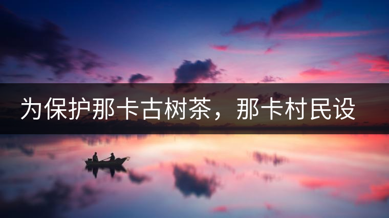 為保護(hù)那卡古樹茶，那卡村民設(shè)公約牌