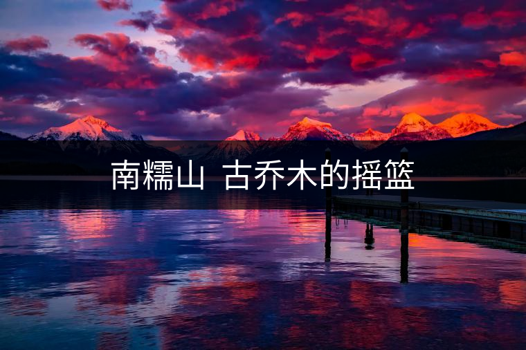 南糯山  古喬木的搖籃