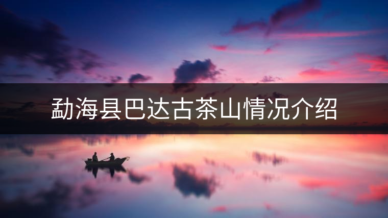 勐海縣巴達古茶山情況介紹