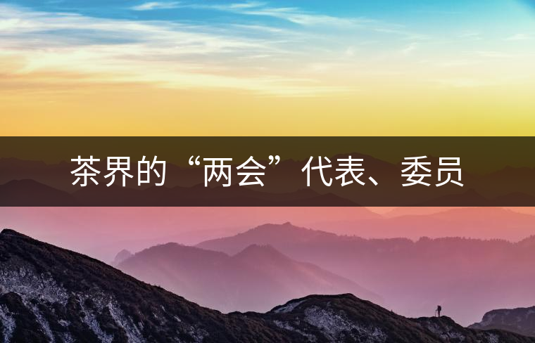 茶界的“兩會(huì)”代表、委員