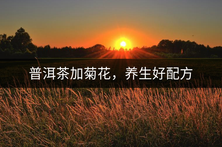 普洱茶加菊花，養(yǎng)生好配方