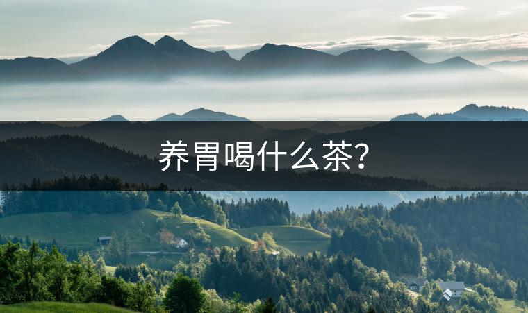 養(yǎng)胃喝什么茶？