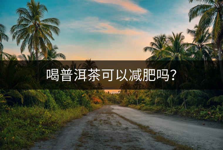 喝普洱茶可以減肥嗎？