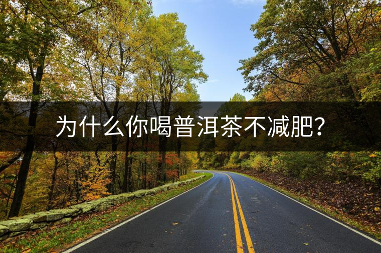 為什么你喝普洱茶不減肥？