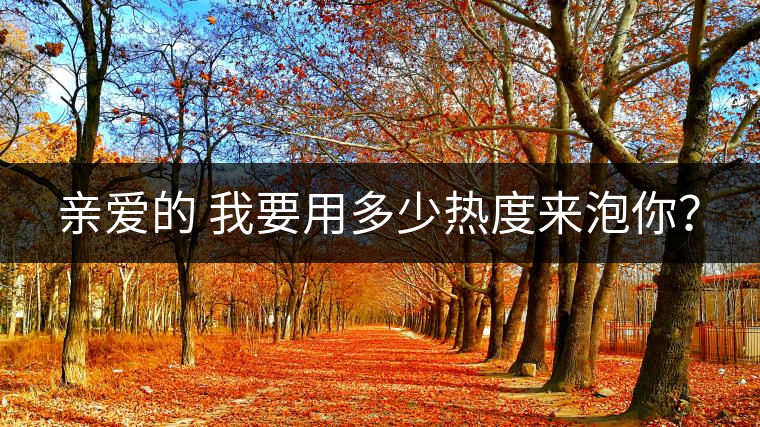 親愛的 我要用多少熱度來泡你？