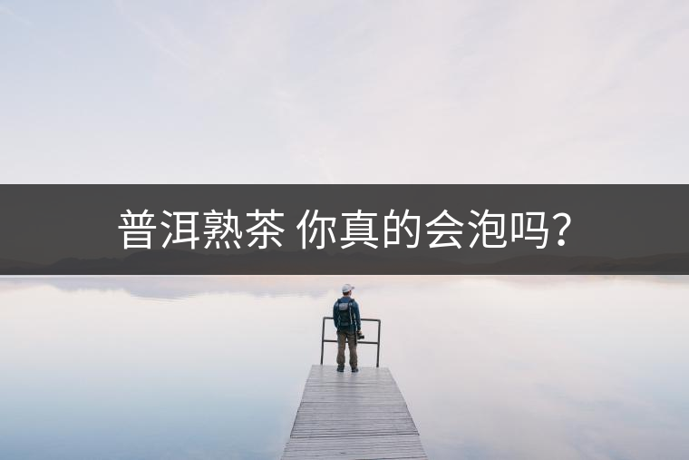 普洱熟茶 你真的會泡嗎？