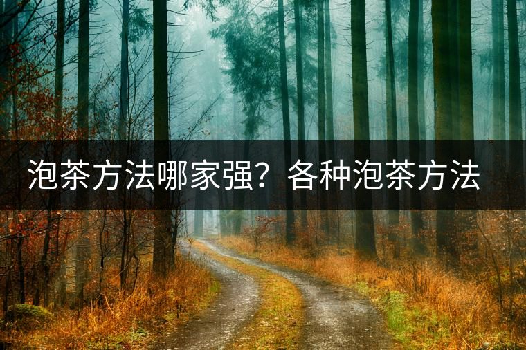 泡茶方法哪家強(qiáng)？各種泡茶方法介紹