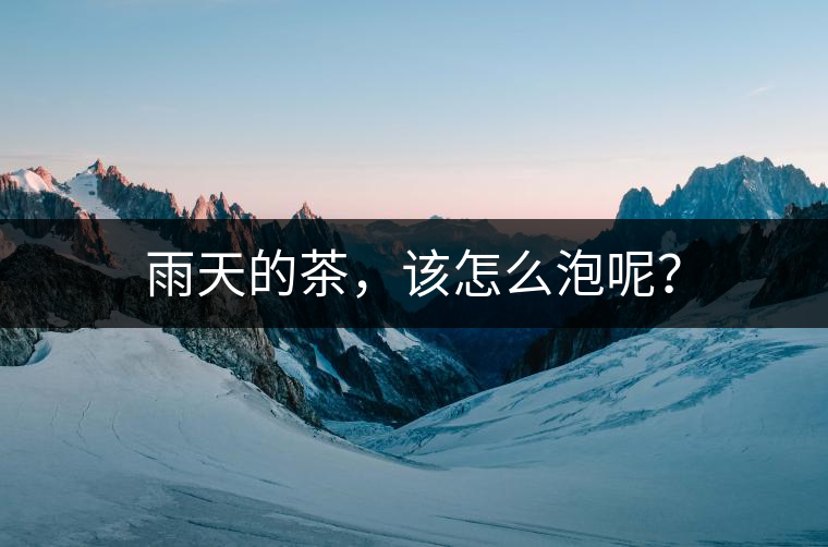 雨天的茶，該怎么泡呢？