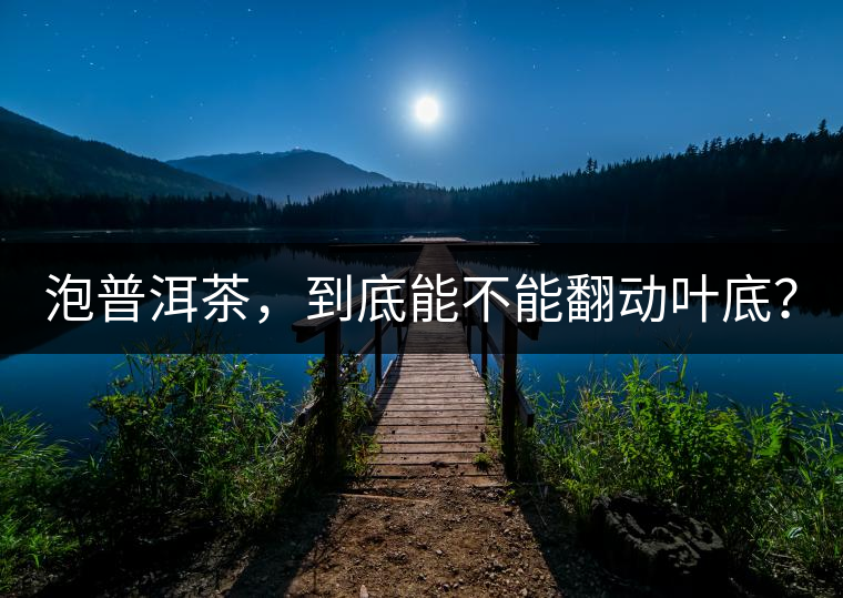 泡普洱茶，到底能不能翻動葉底？