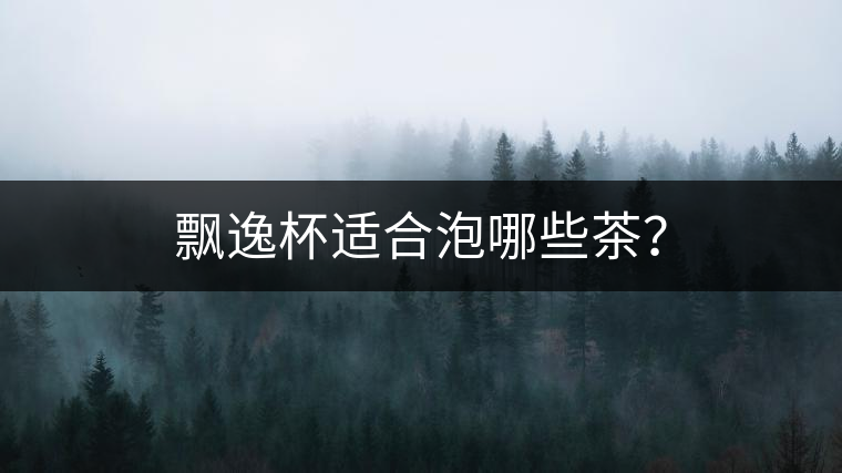 飄逸杯適合泡哪些茶? 飄逸杯適合泡哪些茶?