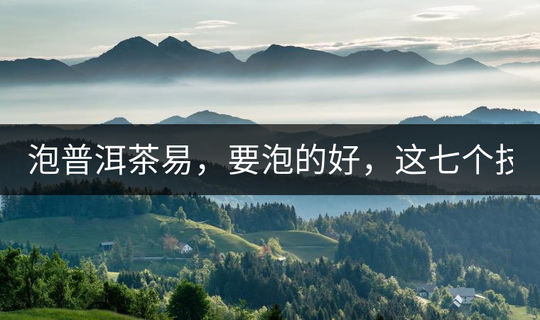 泡普洱茶易，要泡的好，這七個技巧很重要！