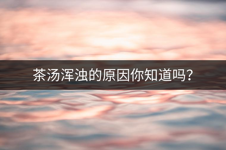 茶湯渾濁的原因你知道嗎？