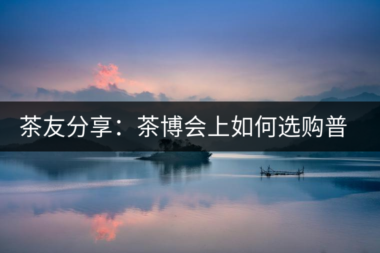 茶友分享：茶博會(huì)上如何選購(gòu)普洱茶？