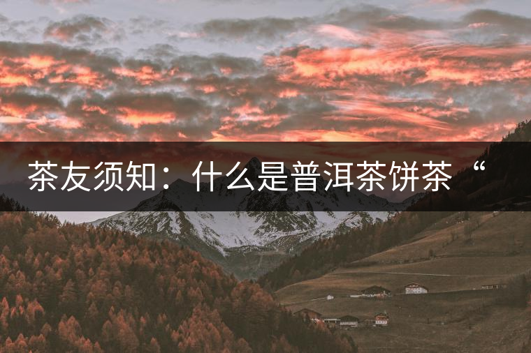 茶友須知：什么是普洱茶餅茶“八病”？如何鑒別？