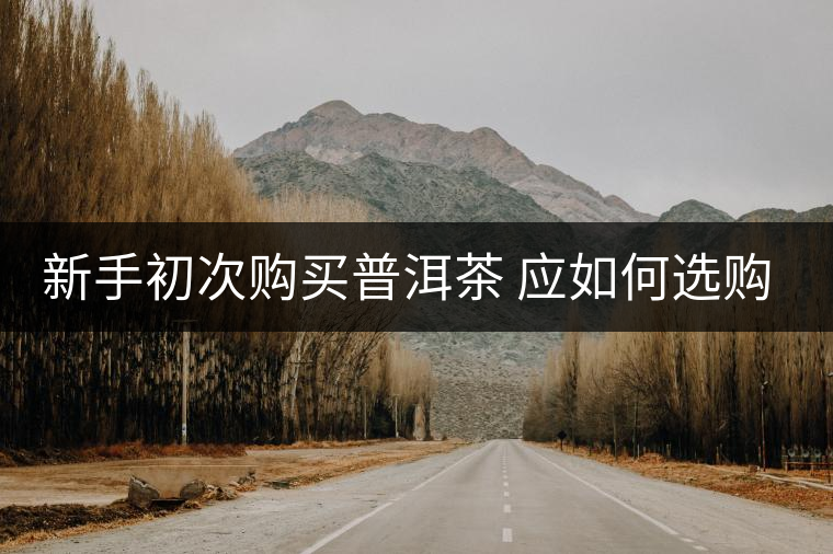 新手初次購買普洱茶 應(yīng)如何選購？