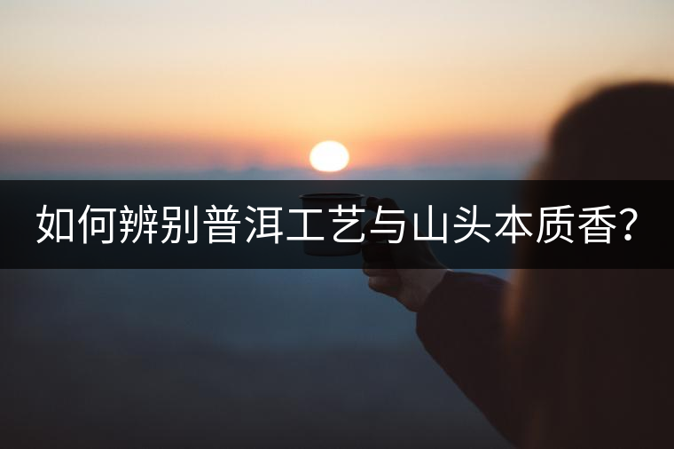 如何辨別普洱工藝與山頭本質(zhì)香？