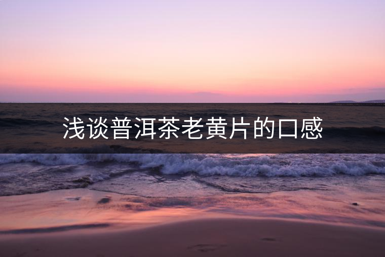 淺談普洱茶老黃片的口感