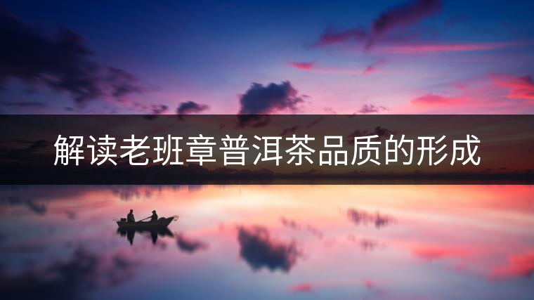 解讀老班章普洱茶品質(zhì)的形成