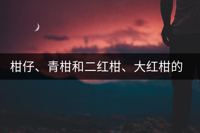 柑仔、青柑和二紅柑、大紅柑的區(qū)別，你可知道？