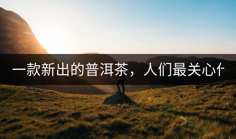 一款新出的普洱茶，人們最關(guān)心什么?