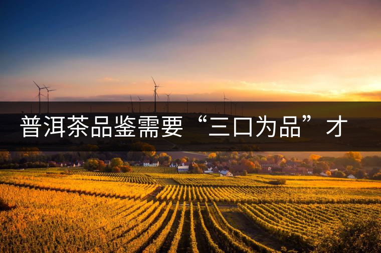 普洱茶品鑒需要“三口為品”才真實，那從哪里入手品鑒呢？