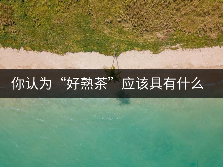 你認(rèn)為“好熟茶”應(yīng)該具有什么樣的標(biāo)準(zhǔn)？
