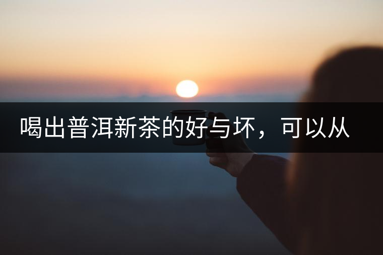 喝出普洱新茶的好與壞，可以從這五點(diǎn)出發(fā)
