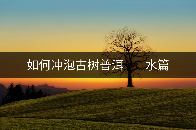 如何沖泡古樹(shù)普洱——水篇