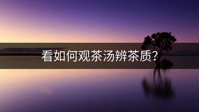 看如何觀茶湯辨茶質(zhì)？