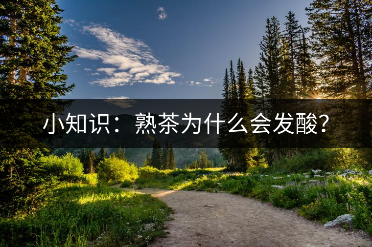 小知識：熟茶為什么會發(fā)酸？