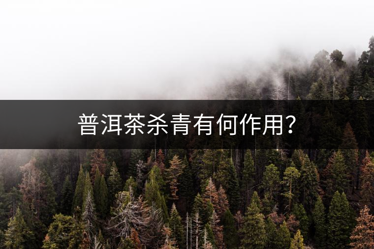 普洱茶殺青有何作用？