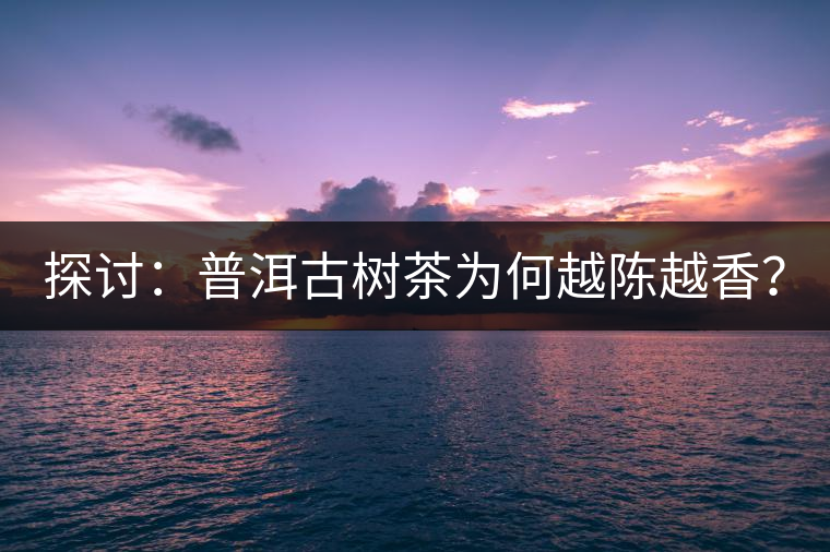 探討：普洱古樹茶為何越陳越香？