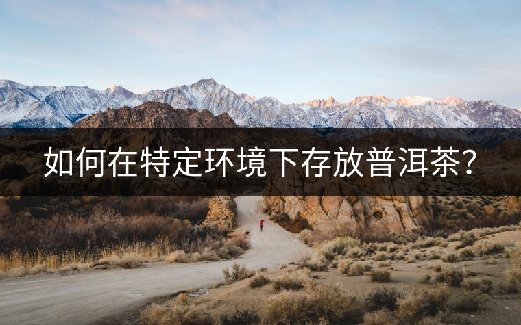 如何在特定環(huán)境下存放普洱茶？