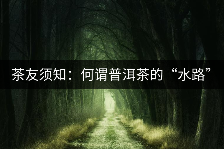 茶友須知：何謂普洱茶的“水路”？