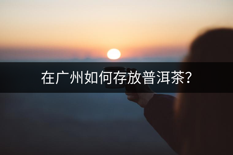 在廣州如何存放普洱茶？