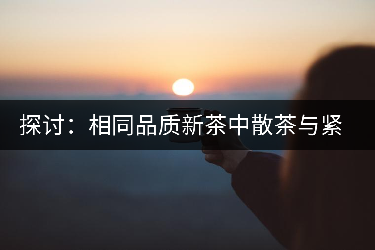 探討：相同品質(zhì)新茶中散茶與緊壓茶哪個好？